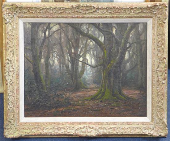 § Frederick Golden Short (1863-1936) New Forest glade, 14 x 18in.